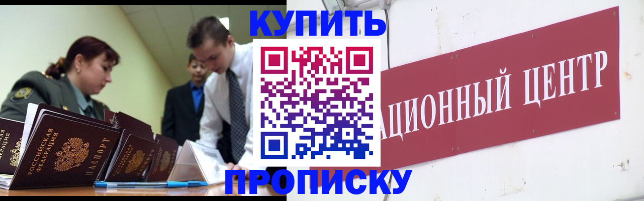 прописка поиск в Невеле